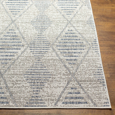 Pagatin Indoor & Outdoor Rug - Clearance