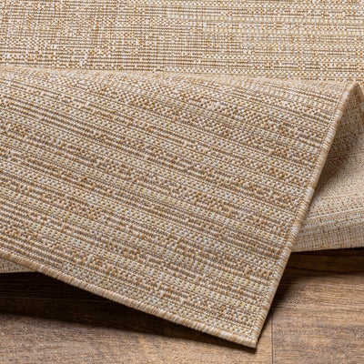 Stephan Dark Beige Outdoor Rug