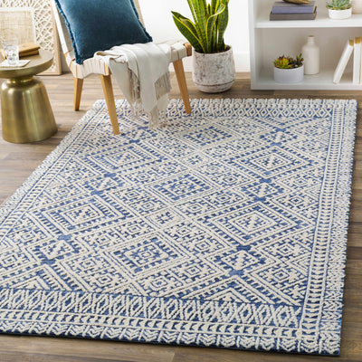 Beeford Blue&White Area Rug - Clearance