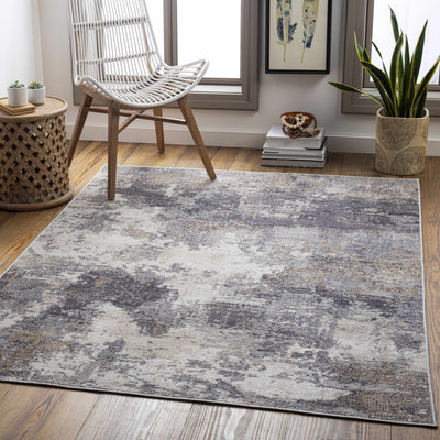 Paralowie Area Rug - Clearance