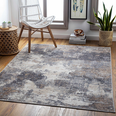 Paralowie Area Rug - Clearance