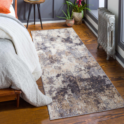 Paralowie Area Rug - Clearance