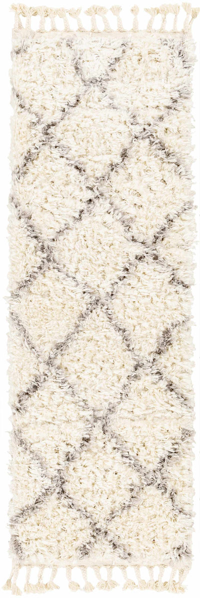 Pasatiempo Area Rug - Clearance