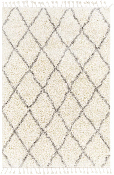 Pasatiempo Area Rug - Clearance