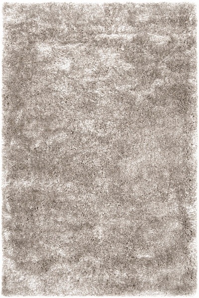 Sandbach Solid Light Gray Shag Rug