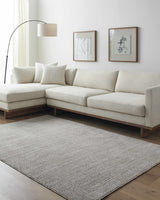 Pabla Light Gray Area Rug