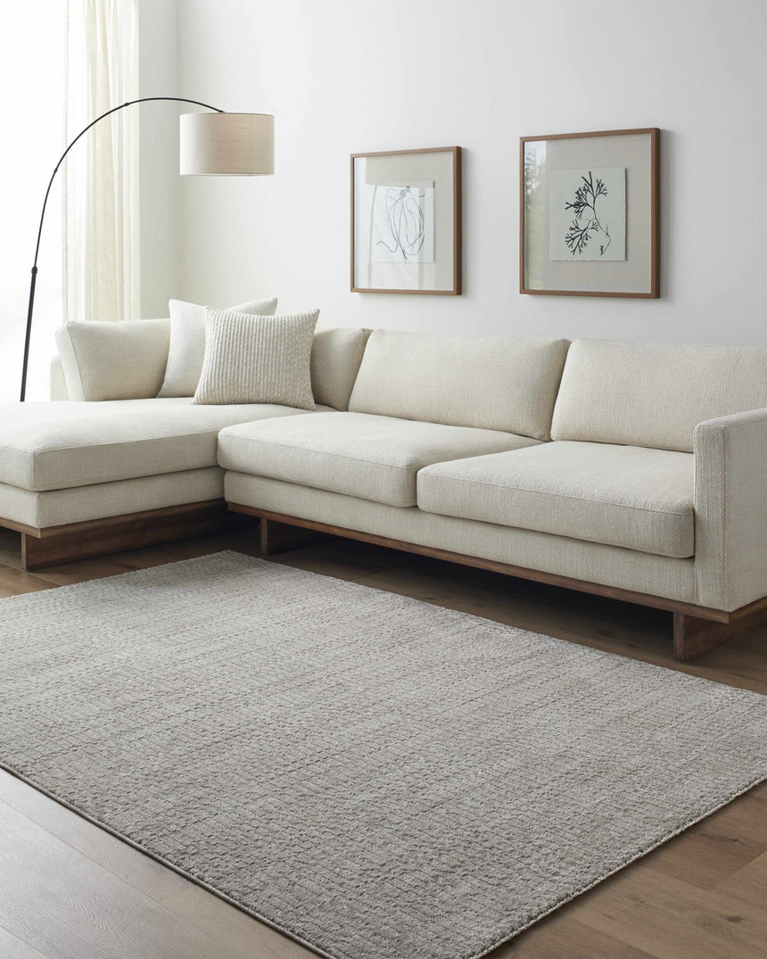 Pabla Light Gray Area Rug