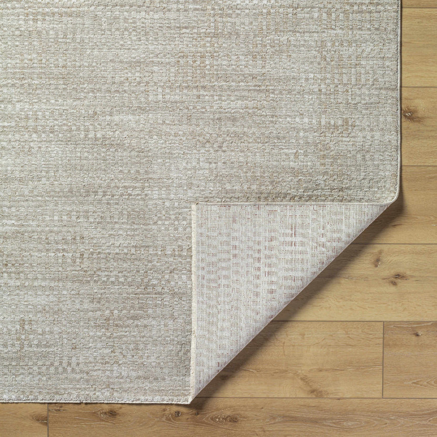 Pabla Light Gray Area Rug
