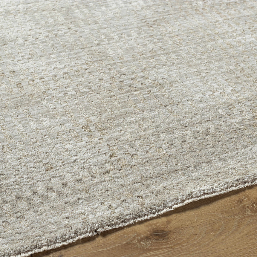 Pabla Light Gray Area Rug