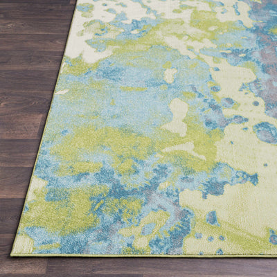 Picabo Area Rug - Clearance