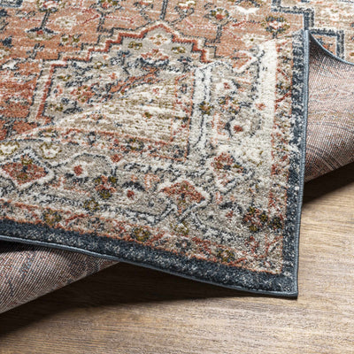 Labnig Rust Traditional Area Rug - Clearance