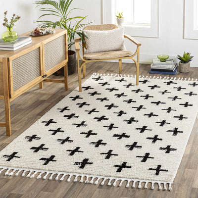 Anda Black on White Moroccan Plush Rug