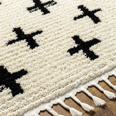 Anda Black on White Moroccan Plush Rug