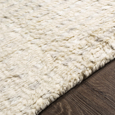 Plean Area Rug