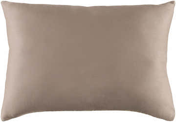 Pontyates Pillow Cover