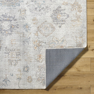 Olympic 2302 Damask Light Brown Rug - ourpnwhome x Surya