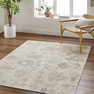 Olympic 2302 Damask Light Brown Rug - ourpnwhome x Livabliss