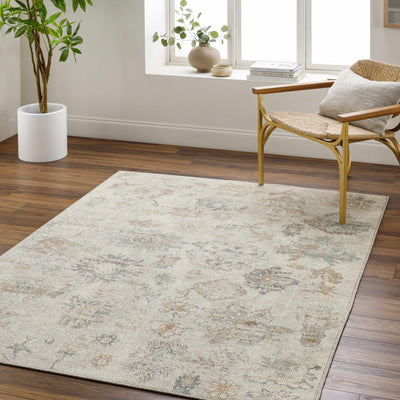 Olympic 2302 Damask Light Brown Rug - ourpnwhome x Surya