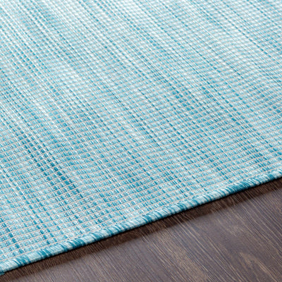 Ponemah Flatweave Area Carpet - Clearance