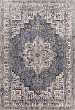 Ponot Area Rug - Clearance