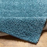 Potot Area Rug - Clearance