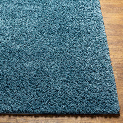 Potot Area Rug - Clearance