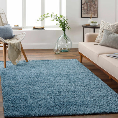 Potot Area Rug - Clearance