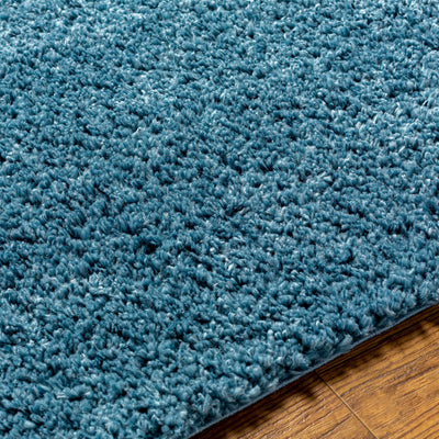 Potot Area Rug - Clearance