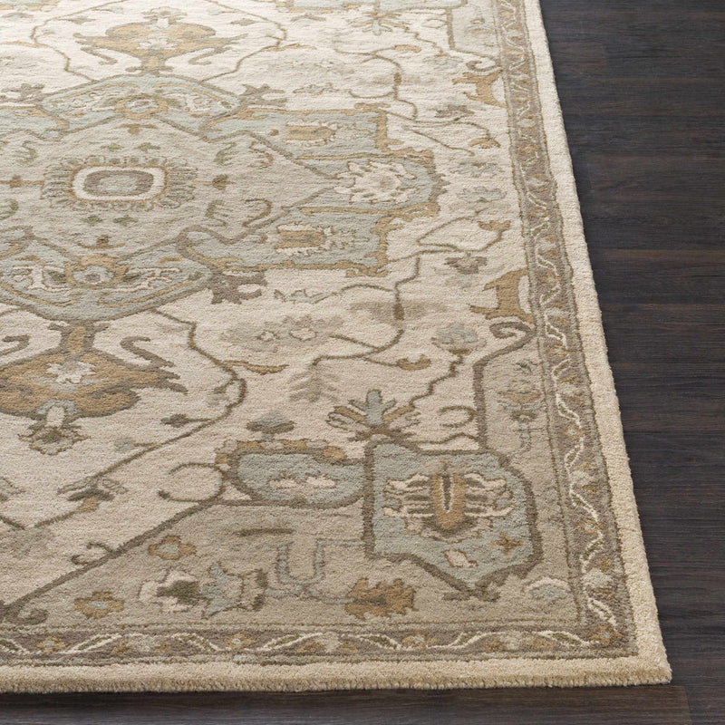 Broomfield Hand Tufted Sage 1143 Area Rug – Boutique Rugs