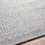 Peri Area Rug - Clearance