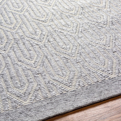 Peri Area Rug