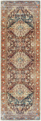 Detailed Portlaw Washable Area Rug runner with a traditional oriental pattern in blue, brick red, and brown tones. Design-Runner-27710