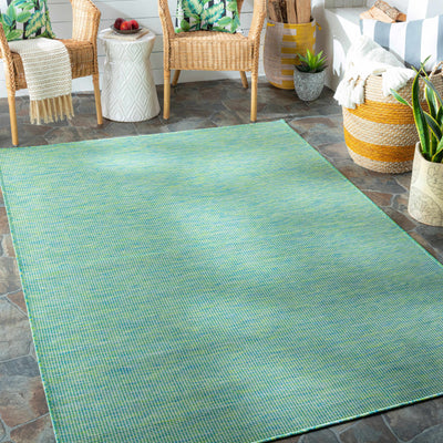 Romsley Flatweave Area Carpet - Clearance