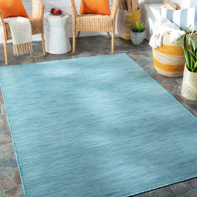Ponemah Flatweave Area Carpet - Clearance