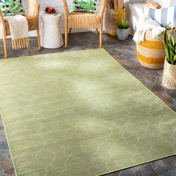Dunedoo Flatweave Area Carpet - Clearance