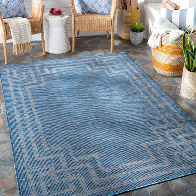 Corlette Flatweave Area Carpet - Clearance