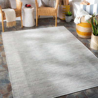 Gosnells Light Gray Area Rug - Clearance
