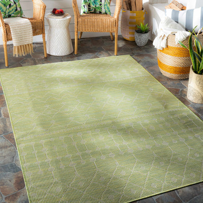 Aspen Flatweave Area Carpet - Clearance