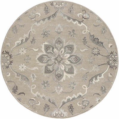 Peterstown Area Rug