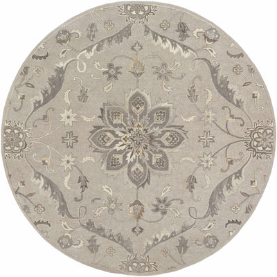 Peterstown Area Rug