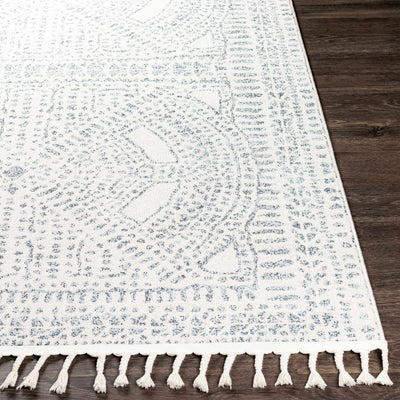 Camira Gray Dotted Tassel Rug - Clearance