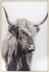 Paratinga Wall Decor