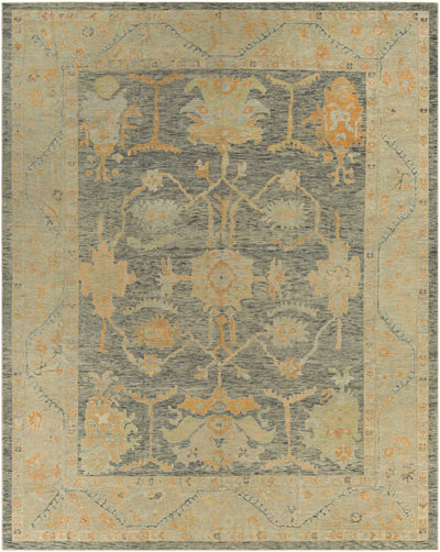 Pazaryeri Area Rug