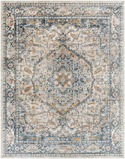 Sturt Gray & Brown Traditional Area Rug - Clearance