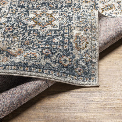 Sturt Gray & Brown Traditional Area Rug - Clearance