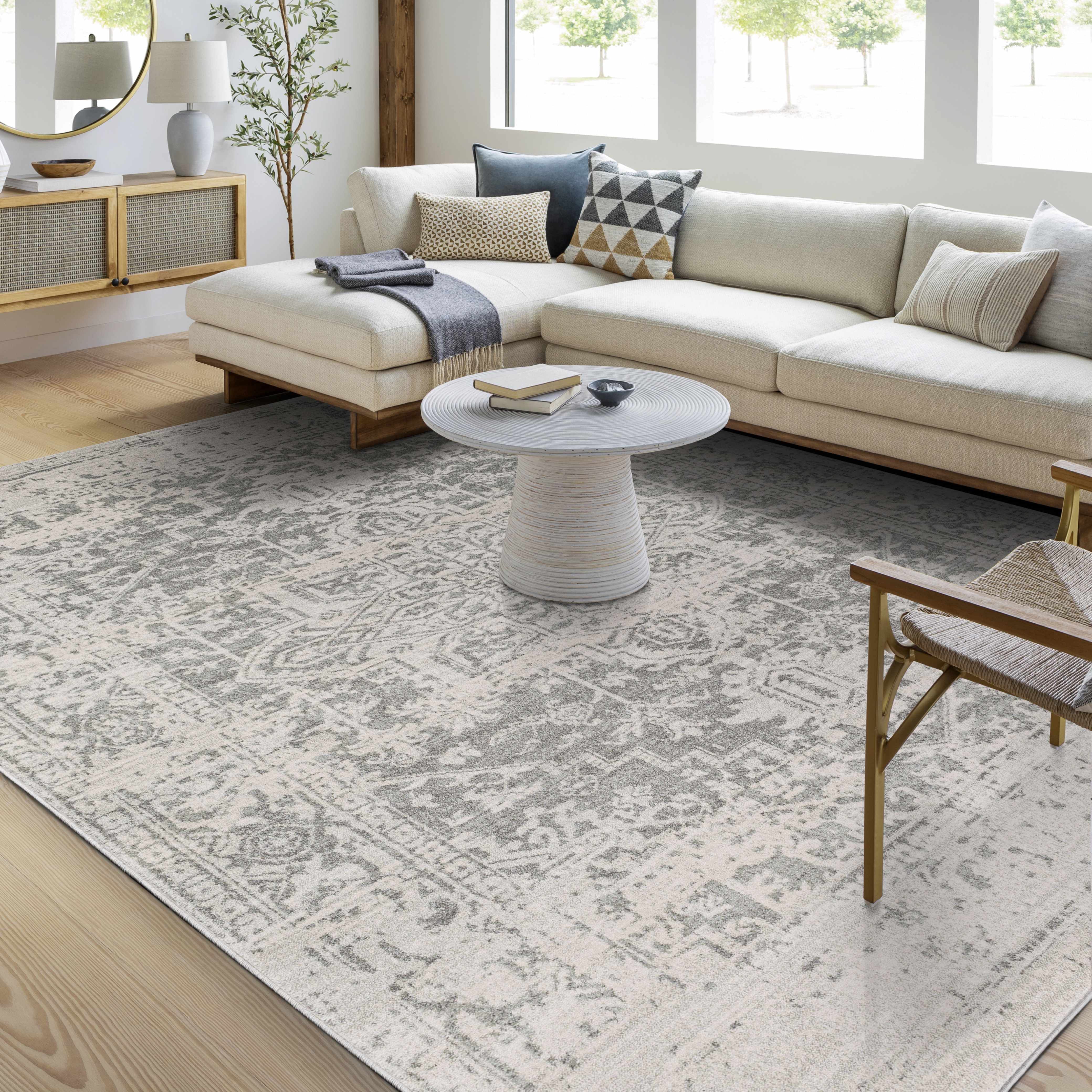 Rachel Area Rug - Beige/Gray Distressed Traditional Rug and Runner