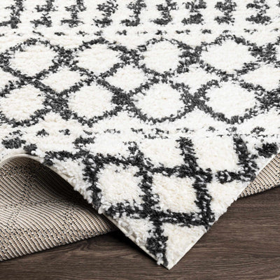 Walkern White/Black 5x7 Plush Rug - Clearance