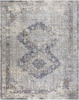 Distressed Randalia Area Rug with a vintage, oriental design in gray, brown, and ivory tones. Design-Rectangle-710103