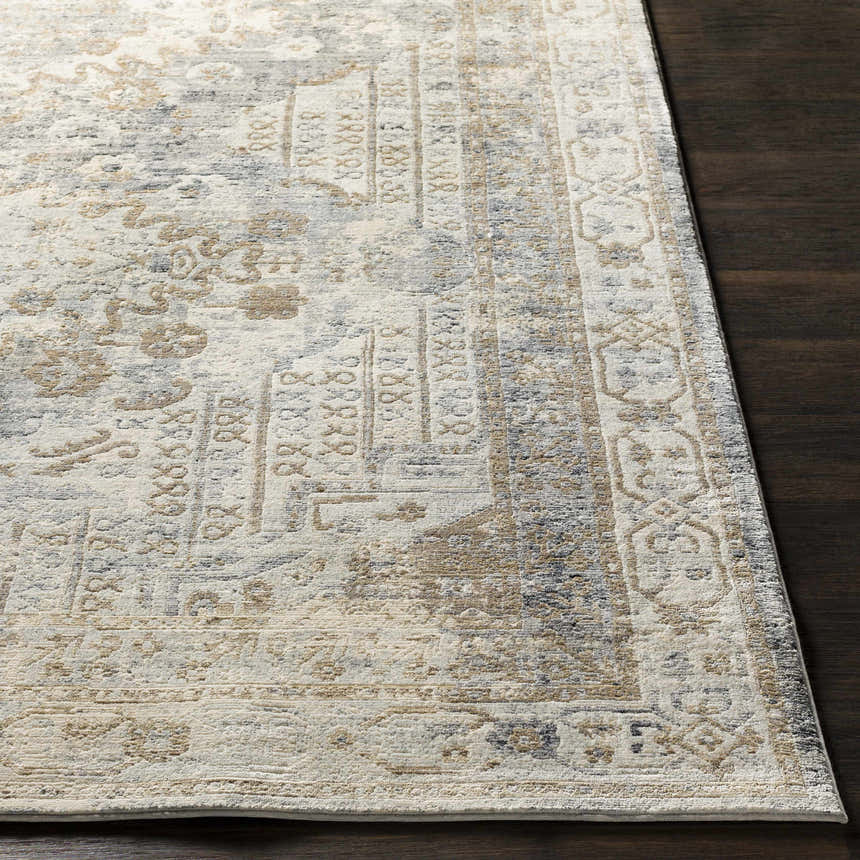 Close-up of Randalia Area Rug showing its traditional design, ivory, gray, and brown colors, and soft texture. Front