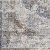 Close-up of the Randalia Area Rug, showcasing its traditional, vintage design in gray, brown, and ivory tones. Swatch